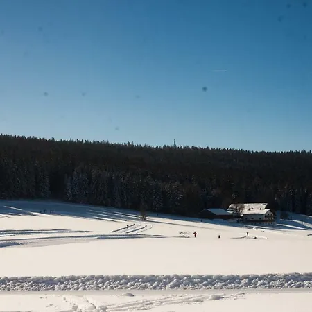 Sixt Martina Daire Lam