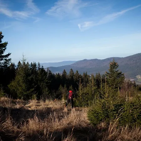 Sixt Martina Daire Lam