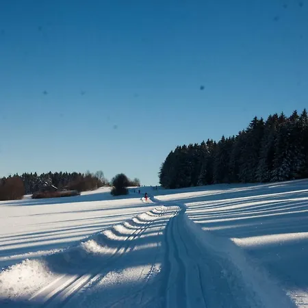 Διαμέρισμα Sixt Martina