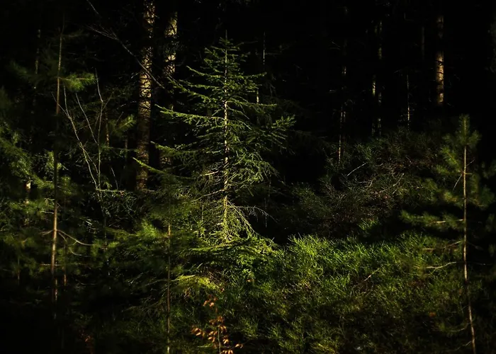 公寓 Sixt Martina 拉米